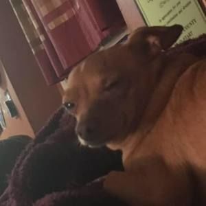 Meet your Posher, Cj